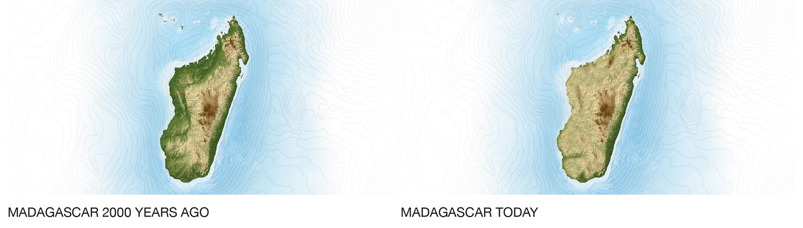 Madagascar 1000 years ago vs today